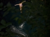 Orlando Duque of Colombia dives from the 27.25 metre platform during the second stop of the Red Bull Cliff Diving World Series at Ik Kil cenote in Chichen Itza, Yucatan, Mexico on April 10th 2011.